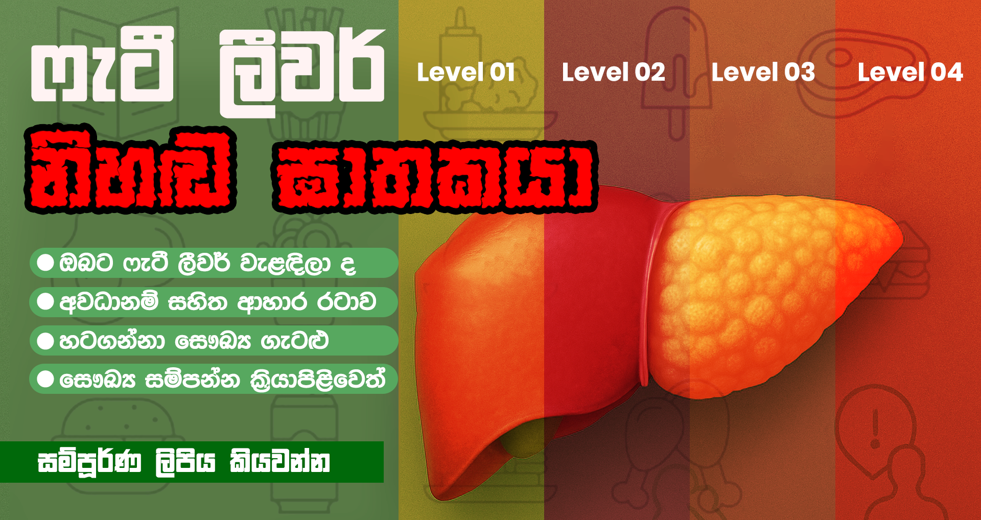 Fatty Liver/  මේද අක්මා රෝගය